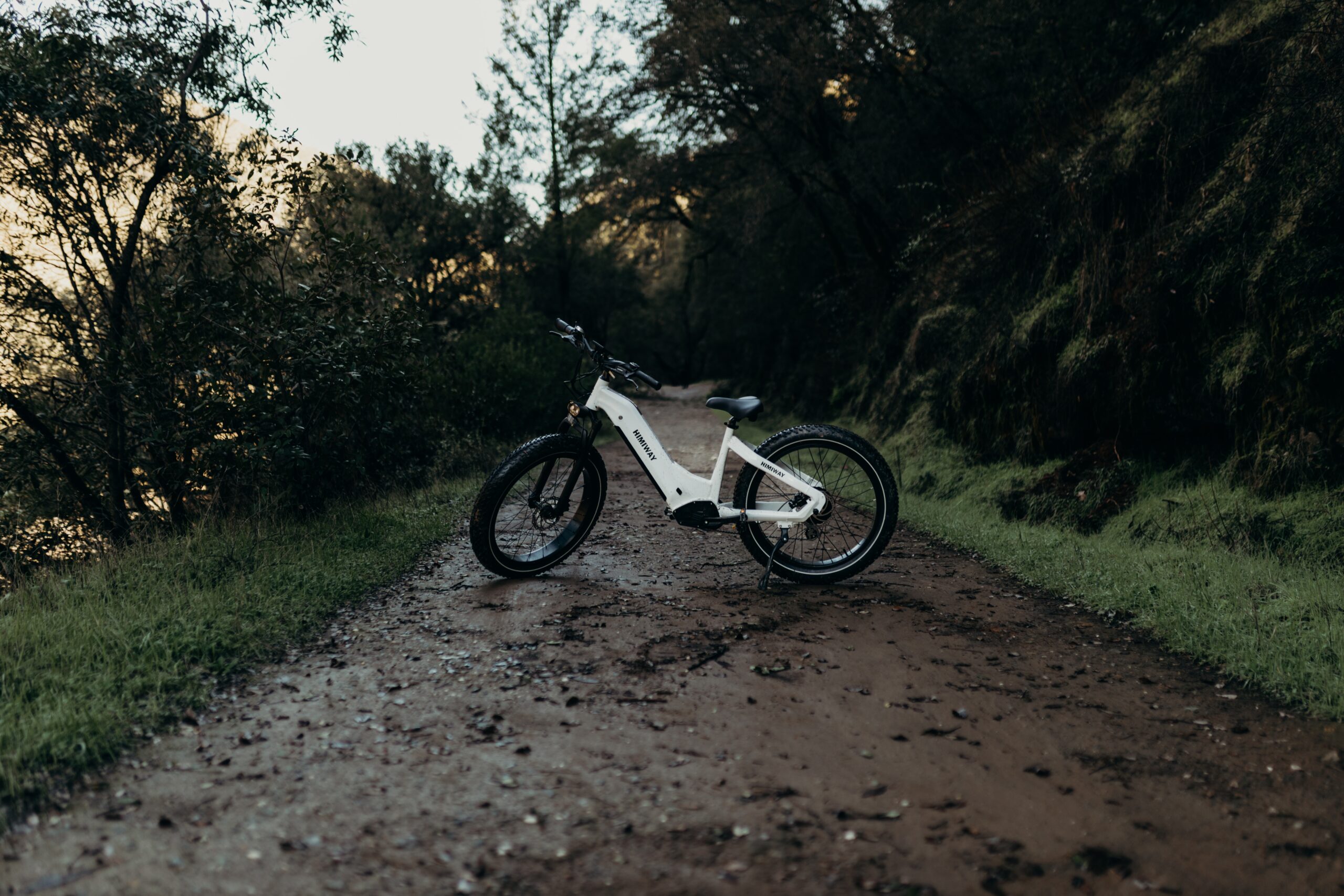 fat bike electrique