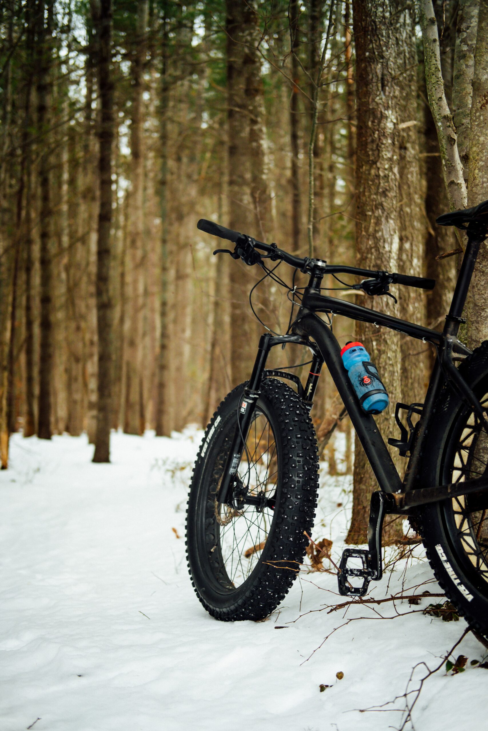 fat bike