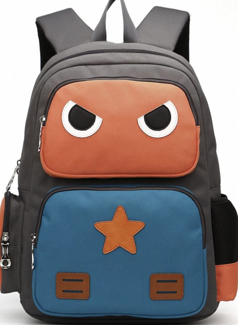Kids Backpacks Boys Love: Combining Fun and Functionality
