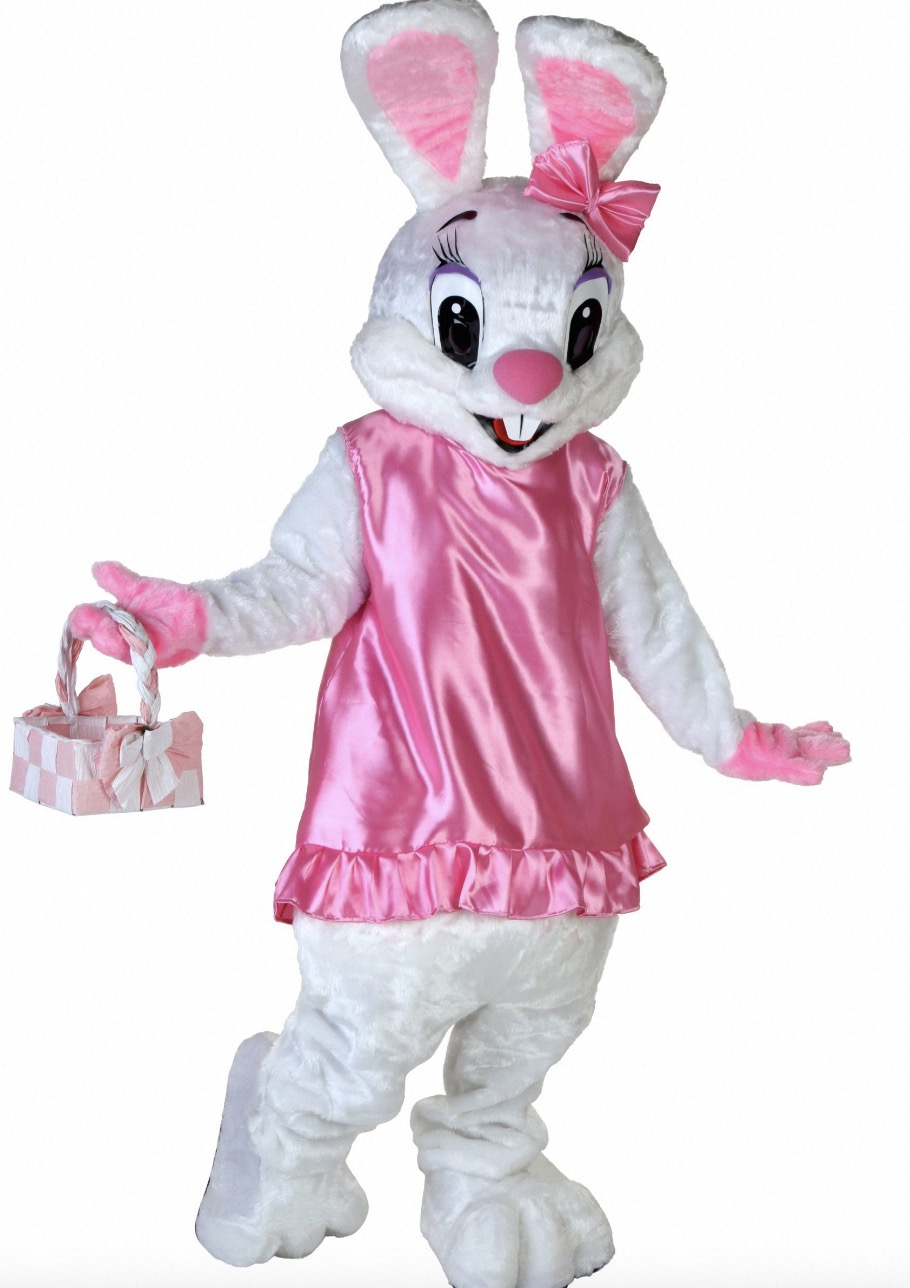 Girls Cute Bunny Costume