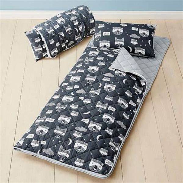 kids sleeping bags target