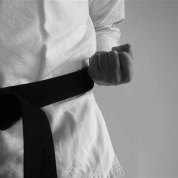 5th Degree Black Belt: The Mastery Journey