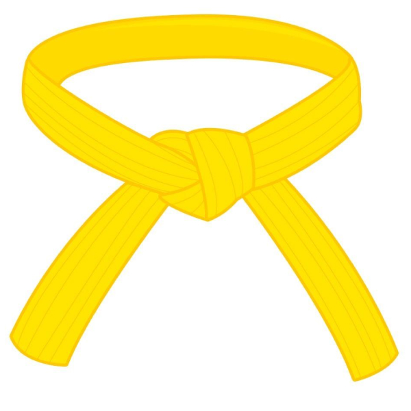 lean six sigma yellow belt salary