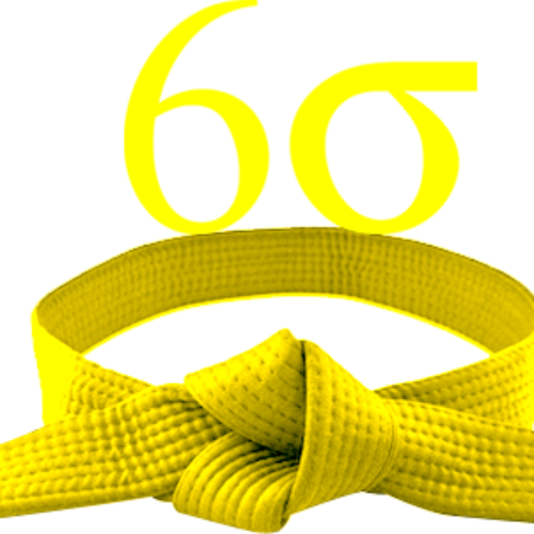 Six Sigma Yellow Belt Salary Insights