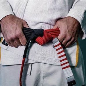 what is a coral belt bjj